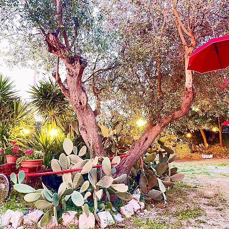 Mirella Charming Panzió Alberobello Kültér fotó