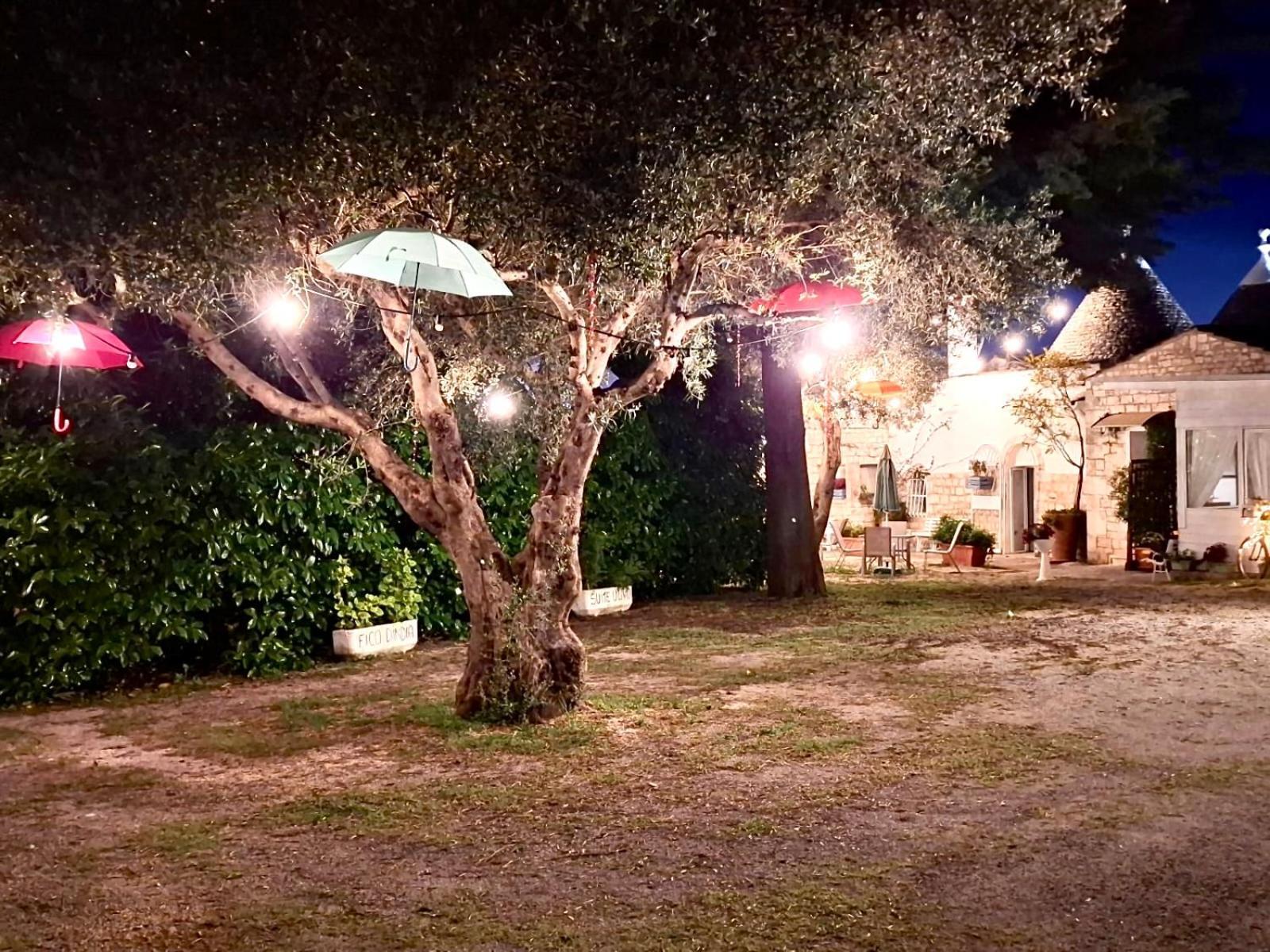 Mirella Charming Panzió Alberobello Kültér fotó